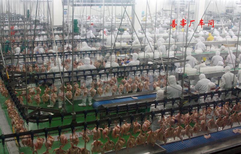 青島先優(yōu)食品丨雞排加工丨雞排批發(fā)丨雞排廠家丨雞排加盟